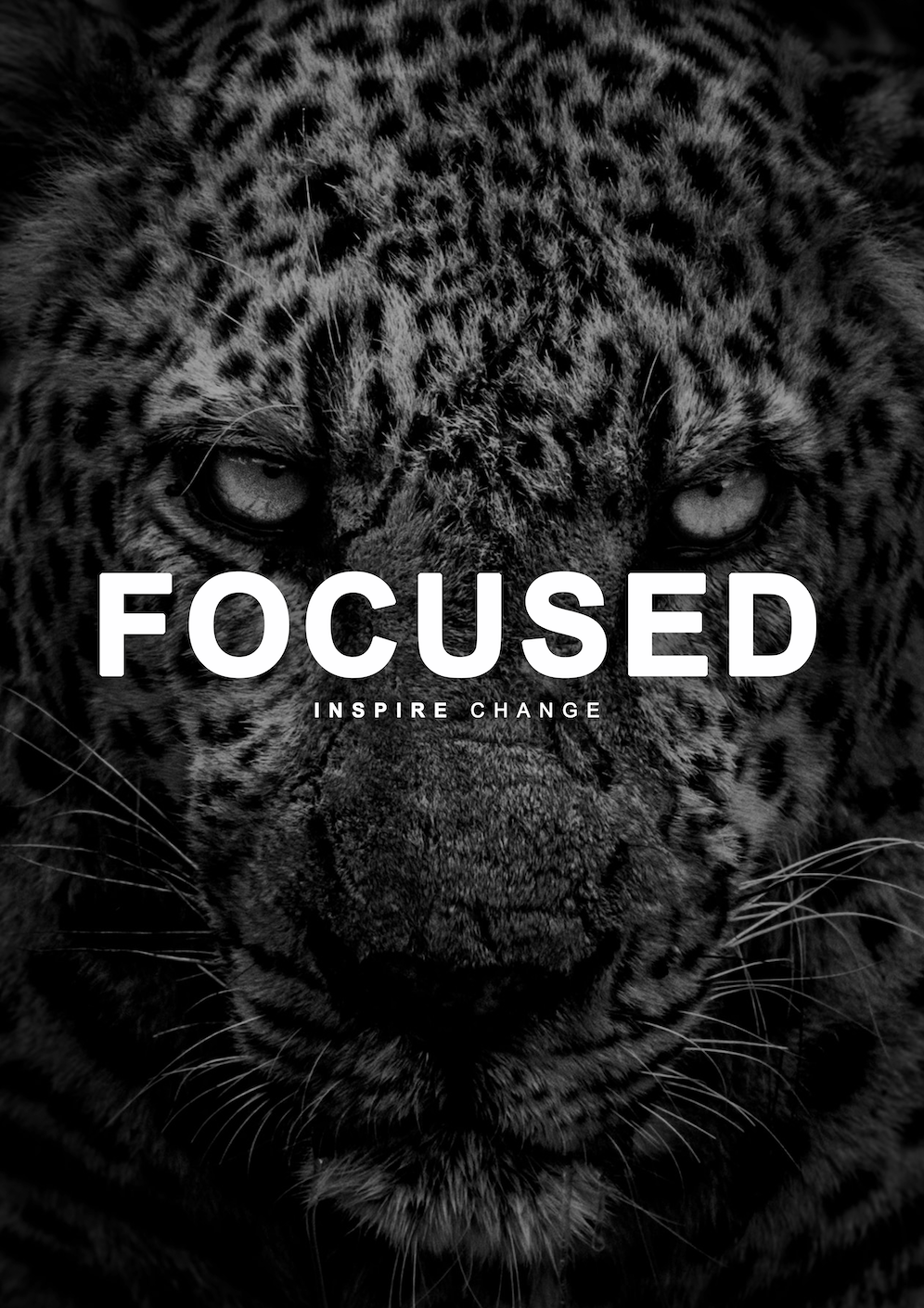 I am "FOCUSED" Mulligan Brothers Motivational Poster